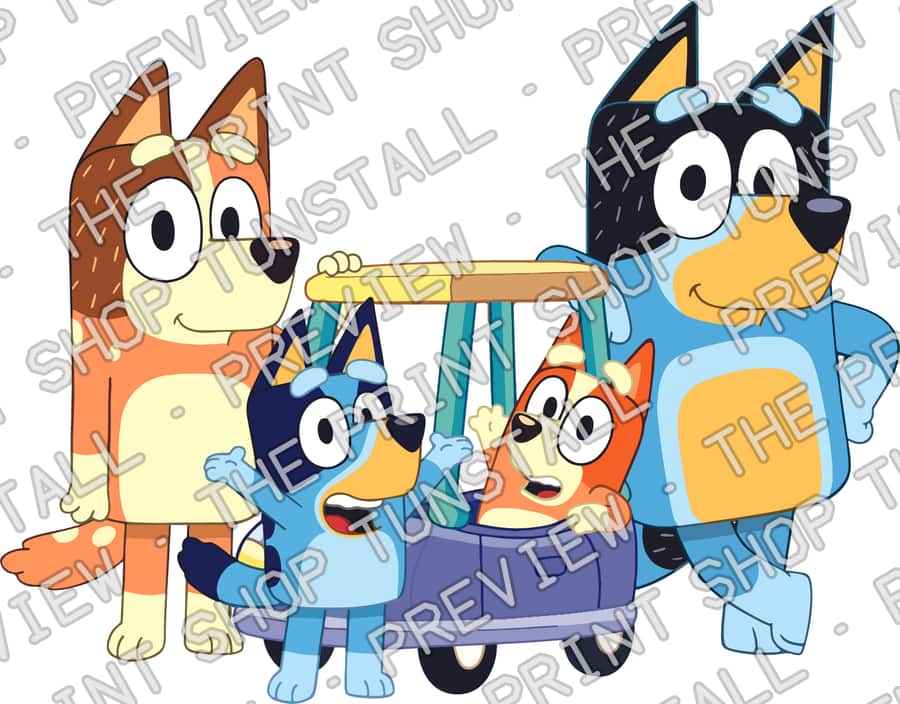 Preview of 1 (11)