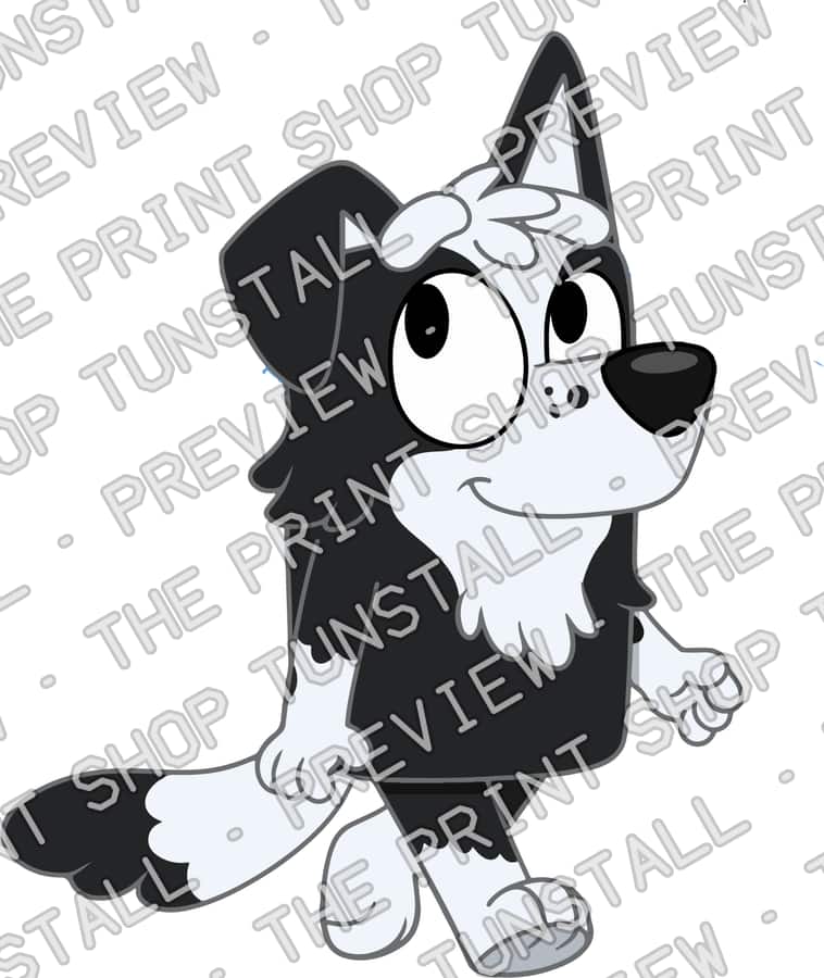 Preview of 1 (20)