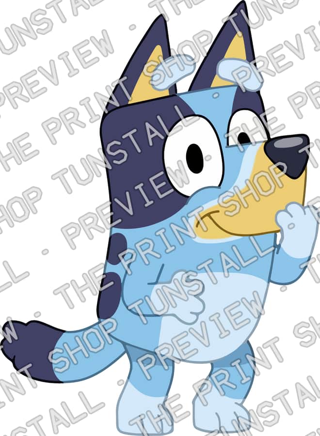 Preview of 1 (13)
